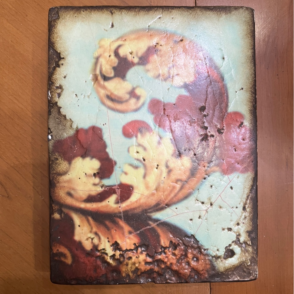 Sid Dickens Memory Block T-203 Regale